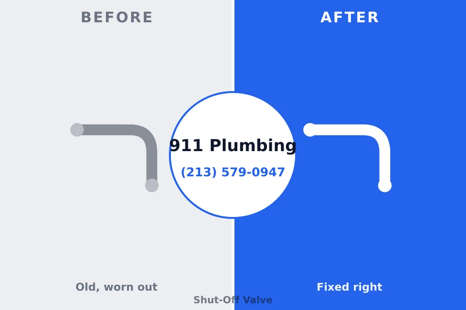 Before and after: plumbing repair South Holland, IL
